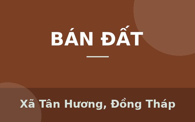 BÁN ĐẤT MẶT TIỀN QL1A GẦN KCN TÂN HƯƠNG, Xã Tân Hương, Đồng Tháp