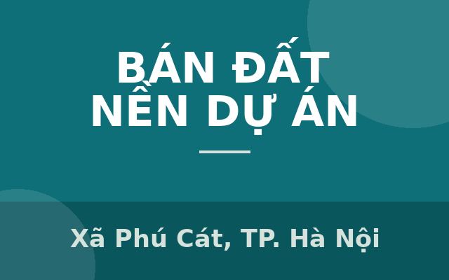 QUÂ HIẾM PHÚ CÁT CŨ THÔN 7 ĐỐI DIỆN TÁI ĐỊNH CƯ VAI RÉO CẦN BÁN GẤP, Xã Phú Cát, Thành phố Hà Nội