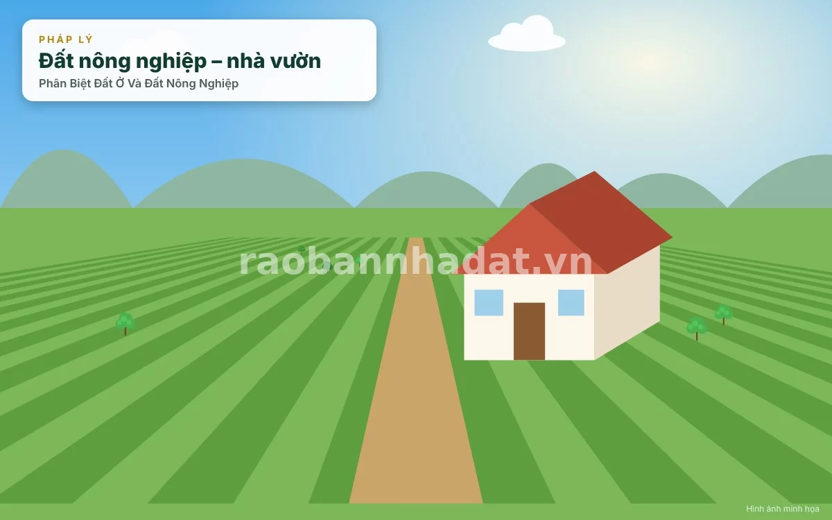 Phân Biệt Đất Ở Và Đất Nông Nghiệp: Cẩm Nang Pháp Lý Quan Trọng Cho Người Mua BĐS