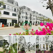 Bán biệt thự vườn 170m rẻ nhất phía Tây Hà Nội ở 3 năm mới phải thanh toán, CĐT giảm giá 5 tỷ