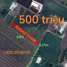 Bán gấp lô đất cây hàng năm khác xã Đức Tân giá 500 triệu( giá rẻ thấp nhất thị trường)