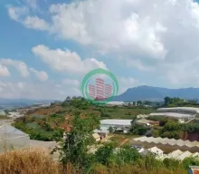 Sos Sos - Bán gấp Đất biệt thự rộng view thoáng đường Phước Thành, Đà Lạt 965m2 giá chỉ 15.6 tỷ