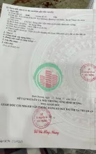 Giảm 300 triệu bán lô đất KDC The Seasons Lái Thiêu, Thuận An, ngay Lotte Mart, có giấy tờ chính chủ đầy đủ