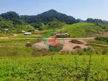 Bán nhanh mảnh đất 2.1 ha tại Tà Số, Mộc Châu, có thổ cư, giá thỏa thuận.