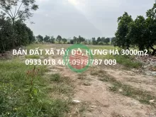 Bán đất xã tây đô, hưng hà, thái bình trục huyện 3000m2-2tr/m2-0933018467-0978787009