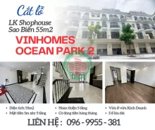 Siêu phẩm Shophouse Sao Biển giá cắt lỗ RẺ nhất Vinhomes Ocean Park 2 The Empire