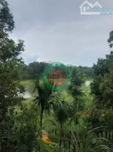 2,1 Sào View Hồ Đạt Lý 61X38M Cực Đẹp Hẻm 11A Chỉ 3,89 Tỷ Quỳnh Anh