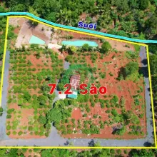 7,2 Sào Gần Nguyễn Thị Định Cách Ngã 6 Khoảng 7,5Km Sẵn Vườn Ao Và Nhà Chỉ 4Tỷ Quỳnh Anh