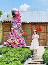 Bán Đất Sun Valley Bảo Lộc Full Thổ Cư View Đẹp