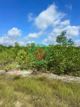 Bán GẤP Lô Đất  ĐẸP Tại Xã Thắng Hải,  Hàm Tân , Bình Thuận(cũ).