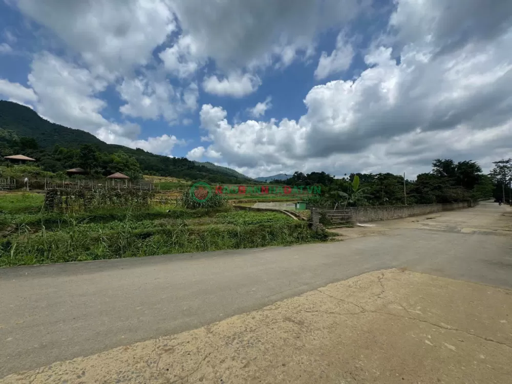 BÁN MẢNH ĐẤT 245M2-MẶT TIỀN 12,5M- LÔ GÓC- KINH DOANH- PHÚ MÃN - QUỐC OAI- HÀ NỘI -4 TỶ160TR