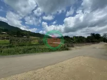 BÁN MẢNH ĐẤT 245M2-MẶT TIỀN 12,5M- LÔ GÓC- KINH DOANH- PHÚ MÃN - QUỐC OAI- HÀ NỘI -4 TỶ160TR