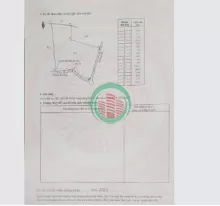 CẦN BÁN 8,7 SÀO CAO SU ĐANG THU HOẠCH – HƯNG PHƯỚC, BÙ ĐỐP, BÌNH PHƯỚC