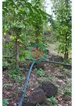 Cần Bán gấp đất 2000m2 Xã Thanh Sơn H.ĐQ, T.Đồng Nai 350 triệu