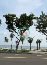 CẦN BÁN MẶT TIỀN BIỂN  ĐƯỜNG HOÀNG SA – KHU PHỨC HỢP ĐÔ THỊ DỊCH VỤ THƯƠNG MẠI CAO TẦNG - SƠN TRÀ - ĐÀ NẴNG