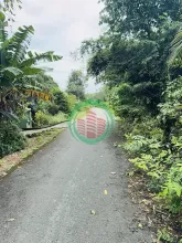 Chính chủ bán đất vườn xã Thái Mỹ, Củ Chi - Tiềm năng sinh lời cao