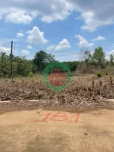 CHÍNH CHỦ CẦN BÁN ĐẤT 1000m² (12x90m) – GIÁ CHỈ 550 TRIỆU-  HỚN QUẢN -  BÌNH PHƯỚC