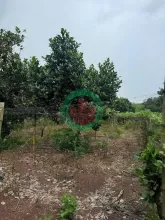 CHÍNH CHỦ CẦN BÁN ĐẤT CHÍNH CHỦ – XÃ THANH AN,HUYỆN  HỚN QUẢN, BÌNH PHƯỚC