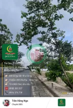 MẢNH ĐẤT HỘI TỤ TIỀM NĂNG TẠI PHƯỚC HÒA, PHÚ MỸ