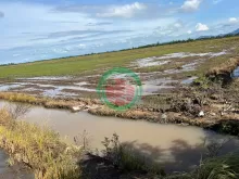 Mua bán đất nông nghiệp