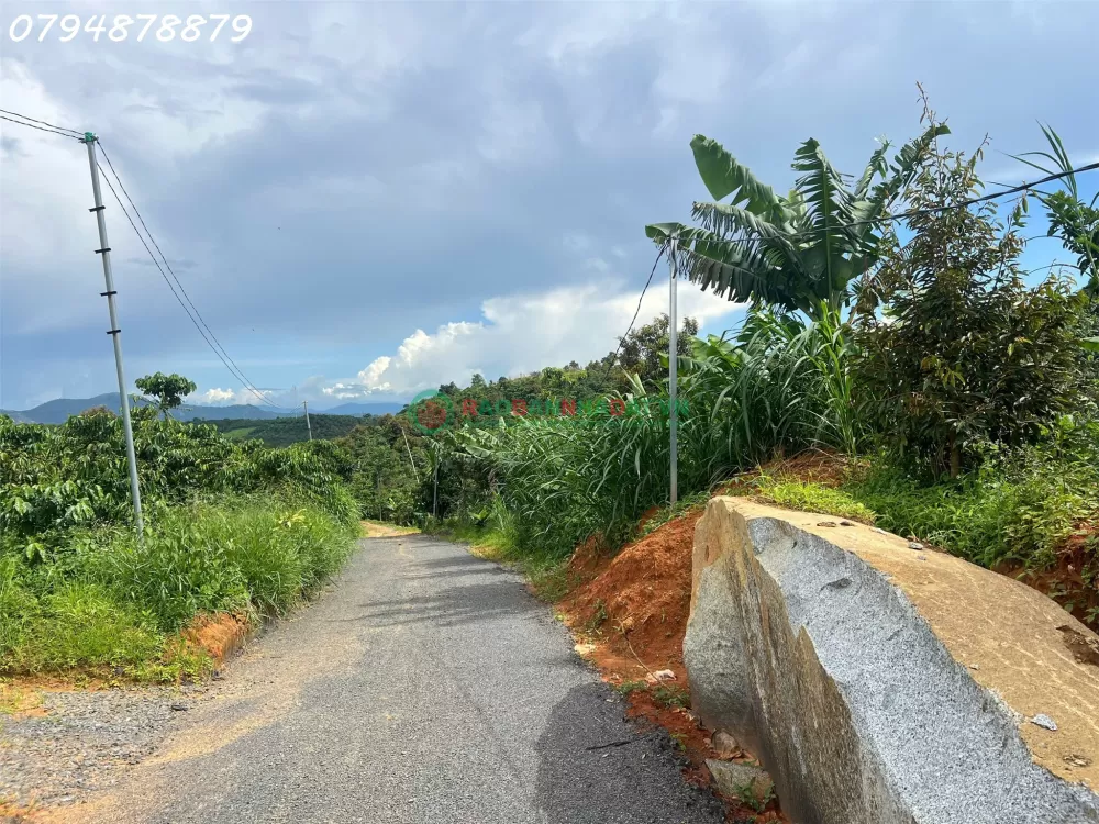 Vị trí vàng:Thuộc xã Lộc Đức, TP. Bảo Lộc – Lâm Đồng