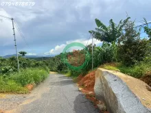 Vị trí vàng:Thuộc xã Lộc Đức, TP. Bảo Lộc – Lâm Đồng