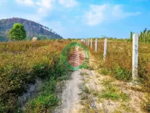 7 sào gần full cafe, mặt tiền nhánh vào thác đức trọng, lâm đồng