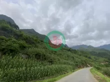 BÁN ĐẤT MẶT ĐƯỜNG HÀ GIANG - GẦN CÁC ĐIỂM CHECKIN; KINH DOANH TỐT GIÁ HỜI