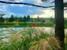 Bán Đất Nền Kề Cận Khu Du Lịch Tâm Châu - 650 Triệu