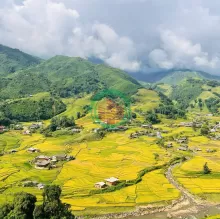 BÁN MẢNH ĐẤT CHÍNH CHỦ VIEW THUNG LŨNG MƯỜNG HOA