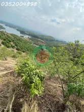 CẦN BÁN 1,6HA ĐẤT TRỒNG CÂY LÂU NĂM – VIEW ĐẸP, GIÁ TỐT!