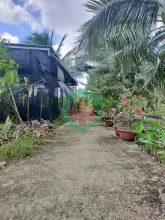 Cần bán gấp đất nền 285m2 Phú Tân, gần chợ Tú Điền – TP Bến Tre, giá cực rẻ