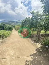 Cần bán lô đất bằng phẳng có sẵn vườn cây ăn trái tại Mê Linh- Lâm Hà