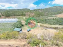 Cần bán lô đất phân lô giá rẻ tại khu Lam Hà Lâm Đồng