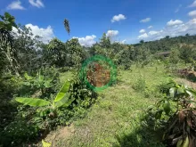 Cần ra gấp 2 lô đất lộc nam giảm 150tr/lô