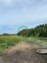 CHÍNH CHỦ CẦN BÁN 1000m² ĐẤT ĐẸP – CÁCH ĐƯỜNG RỪNG SÁC CHỈ 400M – BÌNH KHÁNH, CẦN GIỜ