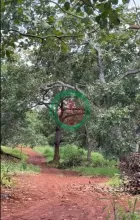 CHÍNH CHỦ  CẦN BÁN 4 MẪU ĐẤT SÁT TRỤC ĐƯỜNG - DT 753  ĐỒNG PHÚ, BÌNH PHƯỚC CHỈ 8 TỶ/MẪU