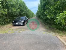 Chính chủ cần bán gấp 2 lô đất siêu đẹp sân bay Long Thành - Đồng Nai