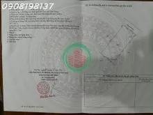 CHÍNH CHỦ CẦN TIỀN BÁN GẤP NHÀ CẤP 4 - 3 PHÒNG NGỦ TP. MỸ THO, TIỀN GIANG