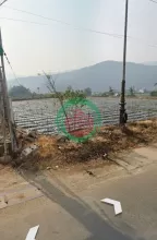 Đất 2 mặt tiền quốc lộ 20, hiệp an, đức trọng cũ, lâm đồng