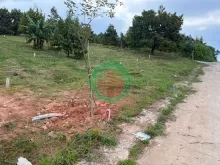 Lộc Nam, còn 2 lô cuối hết hàng giảm 150tr cho khách hàng đầu tiên.