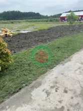 Bán đất 215m2 tại đường 8, Minh Hưng, Chơn Thành, Bình Phước, giá siêu hời 575 triệu