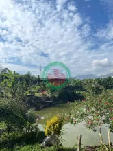 Bán gấp đất tại Lâm Đồng giá 600tr cho 200m2