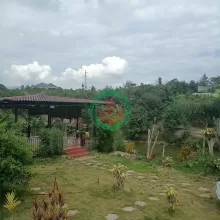 Bán gấp miếng đất tại Lâm Đồng giá 600tr cho 200m2.