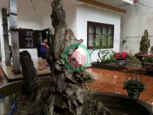 Bán nhà riêng tại đại la thanh lương hai bà trưng hà nội 124 triệu 193m2