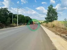 CẦN BÁN ĐẤT MẶT TIỀN ĐƯỜNG NHỰA - TÂN PHƯỚC - ĐỒNG PHÚ - BÌNH PHƯỚC CHỈ 9 TỶ/ HA