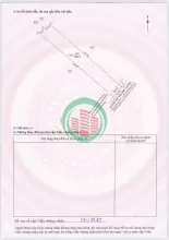 CẦN BÁN GẤP ĐẤT VƯỜN BƯỞI ĐANG THU HOẠCH TẠI  TRỪ VĂN THỐ-HCM