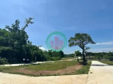 ĐẤT NỀN DẠ LÊ – LỰA CHỌN HOÀN HẢO CHO AN CƯ VÀ ĐẦU TƯ TẠI HUẾ