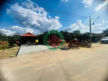 Đất Nhà Vườn Bàu Bàng – Có Bưởi Thu Hoạch, Đường Nhựa Rộng, Dân Cư Đông