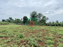 Đất Nn View Trên Cao Hẻm 327 Y Moal 42X20M Giá 3,7 Tỷ Khu Dân Cư Quỳnh Anh